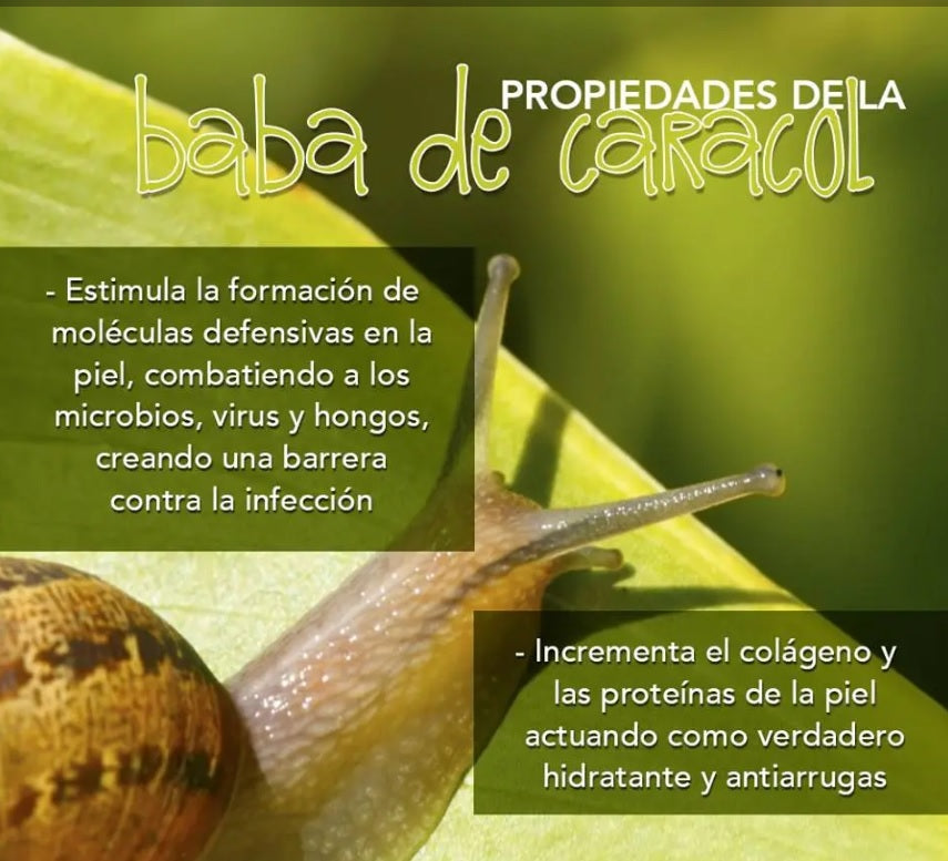 CREMA FACIAL BABA DE CARACOL 50G